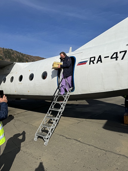 Ковчег с мощами апостола Сибири доставили в Бодайбинский район